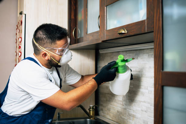 Best Pest Control for Homes  in Gilcrest, CO