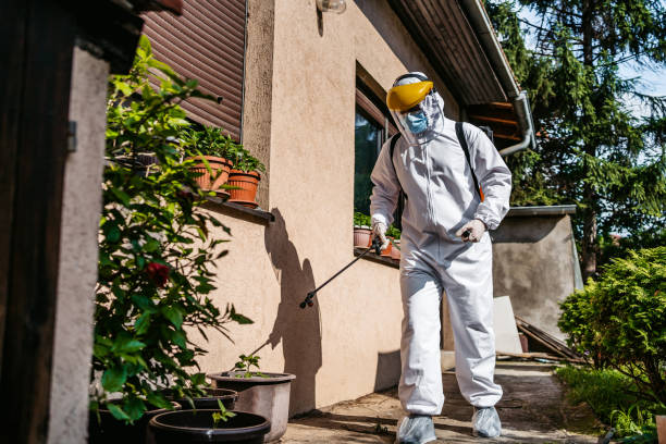 Best Affordable Pest Control Services  in Gilcrest, CO