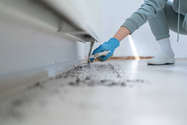 Trusted Gilcrest, CO Pest Control Experts